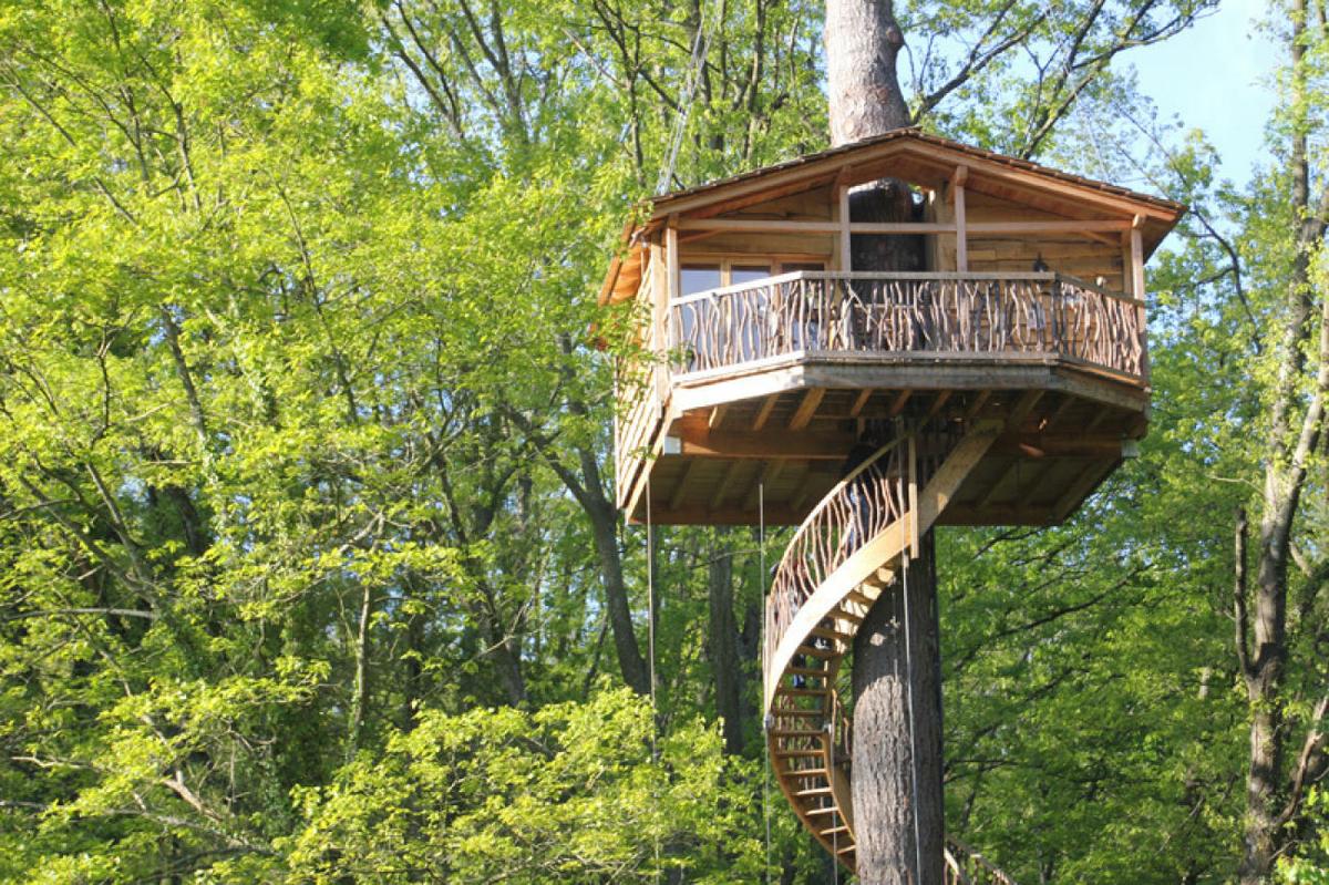 hotel casa en un arbol