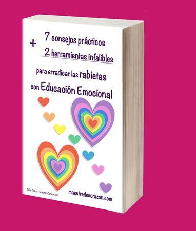 libro-maestra2