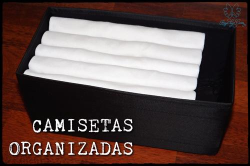 Organization closet t-shits