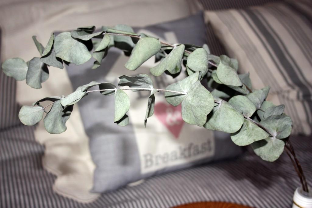 Desayuno de San Valentin en la cama