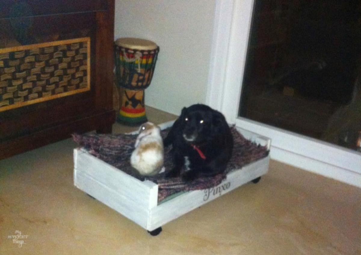 Como hacer una cama para mascotas con madera reciclada