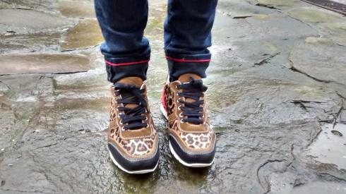 IMG_20160130_163438653_HDR