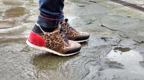 IMG_20160130_163432982_HDR