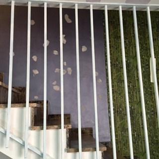 Escalera a traves de los barrotes