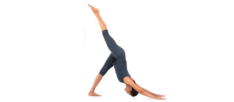 Postura del perro o Eka Pada Adho Mukha Svanasana.