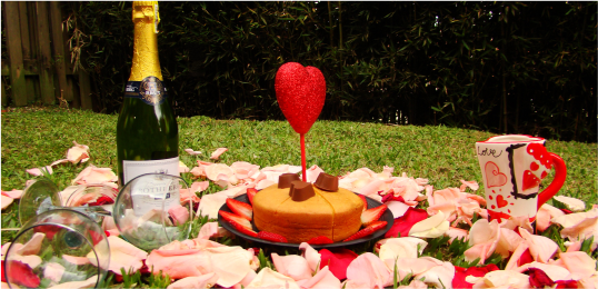 decoracion de aniversario de novios