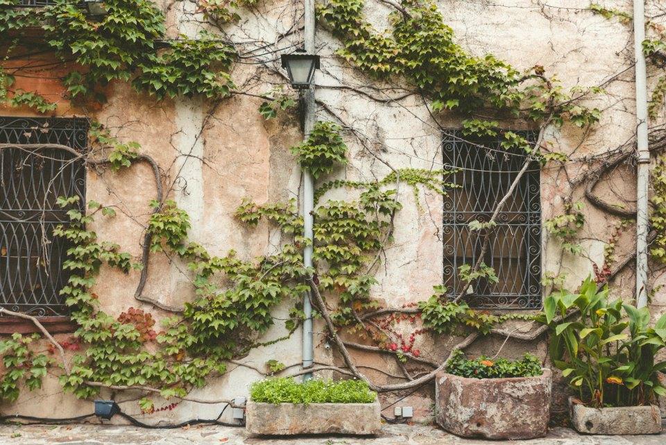 Breath in the autumn air en All Lovely Party