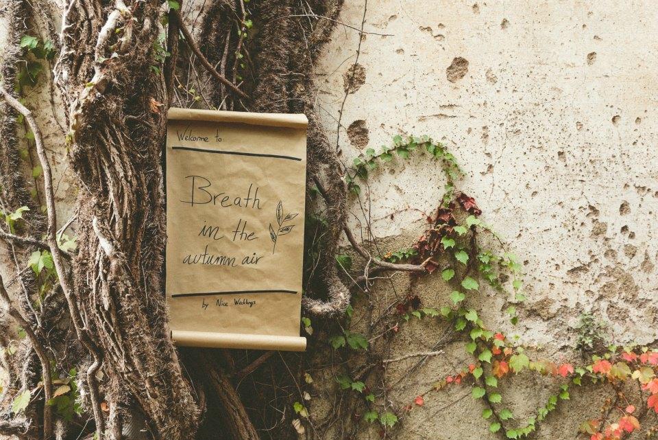 Breath in the autumn air en All Lovely Party