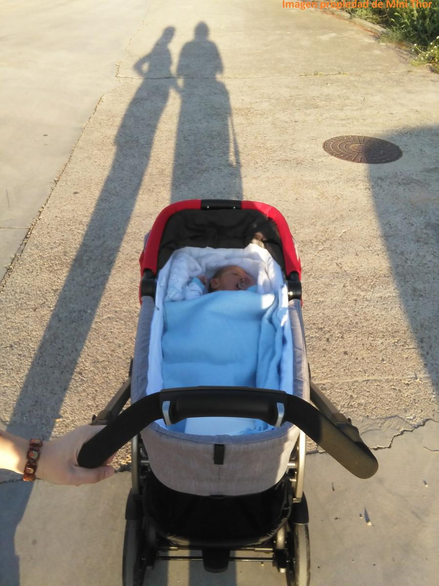 Mini Thor de paseo