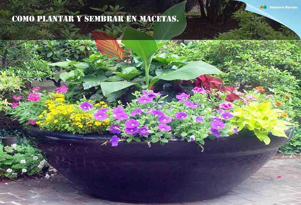 COMO SEMBRAR EN JARDINERAS