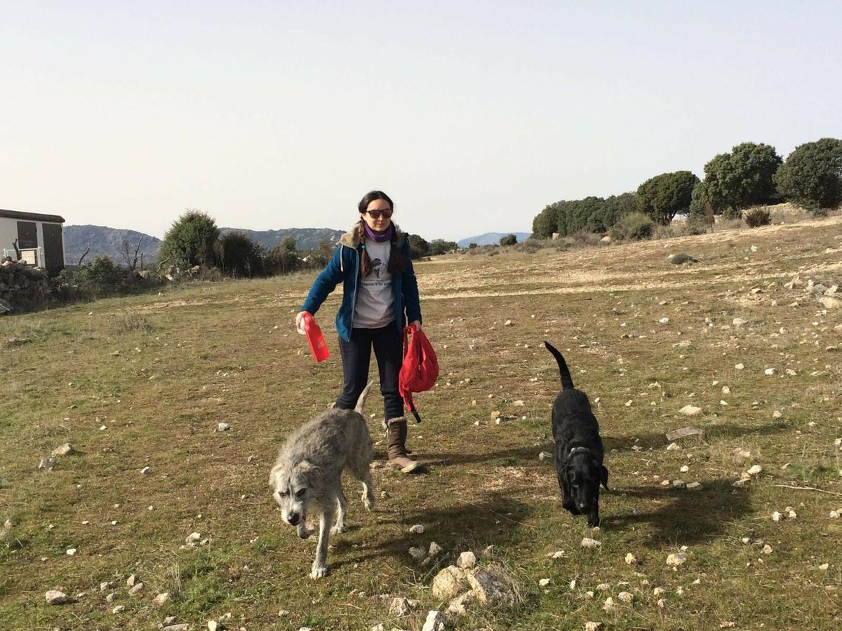 Salida de socialización - febrero 2016. Siente a tu perro.