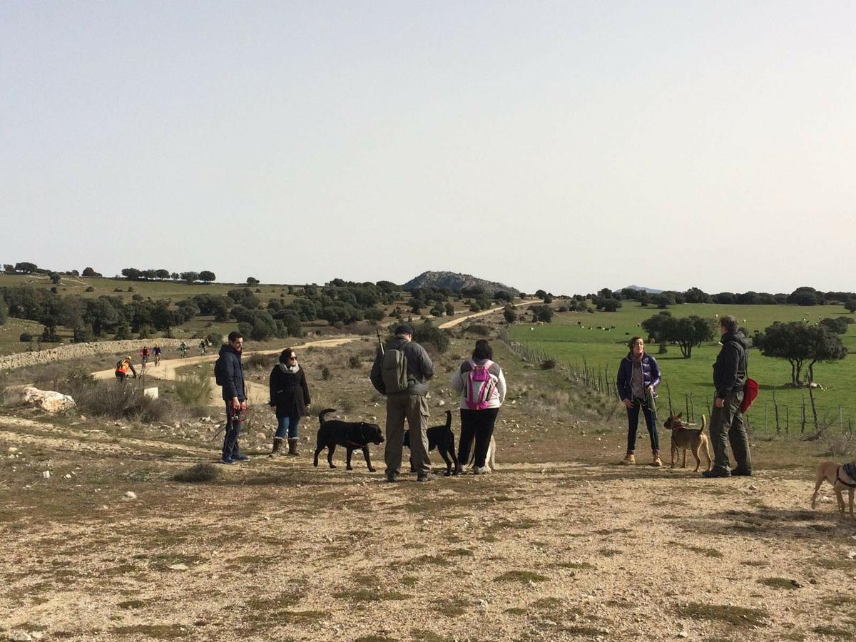 Salida de socialización - febrero 2016. Siente a tu perro.