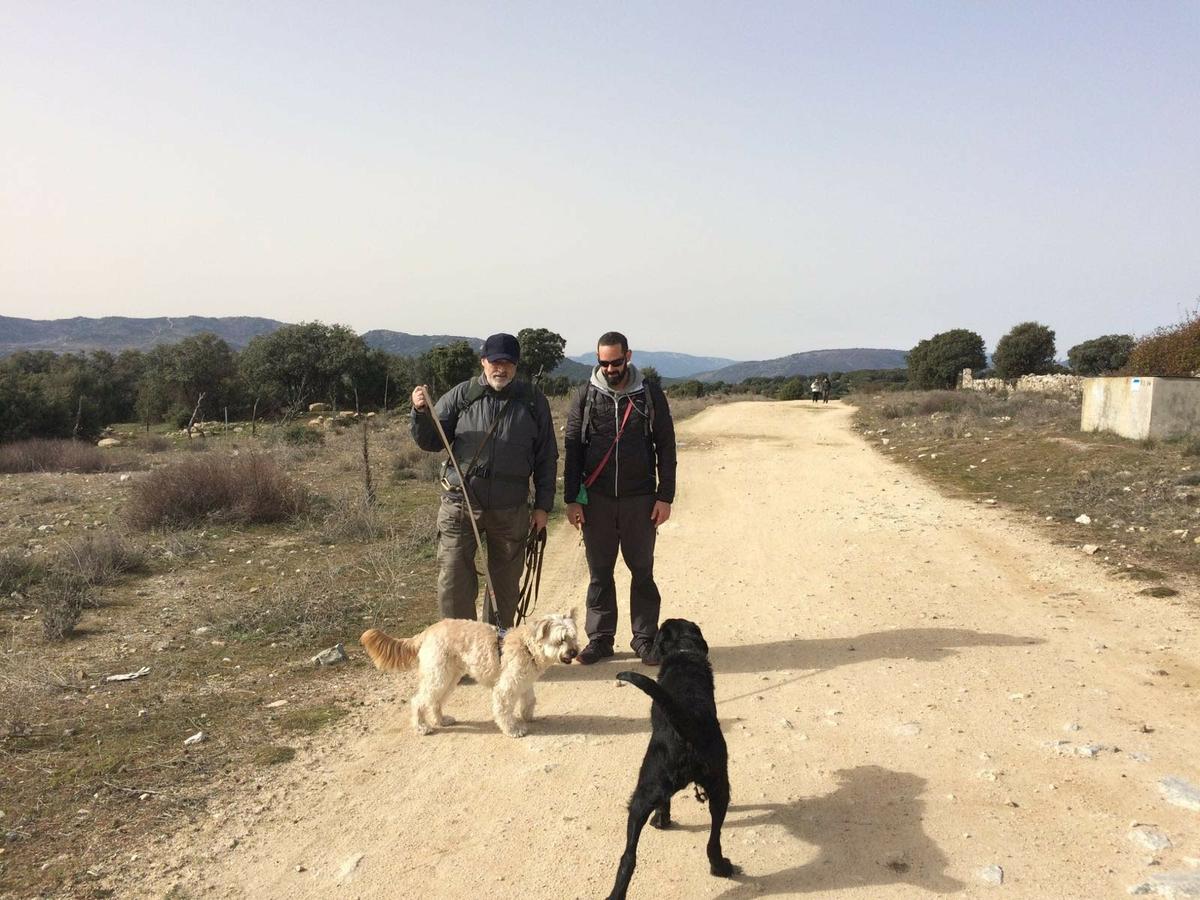 Salida de socialización - febrero 2016. Siente a tu perro.