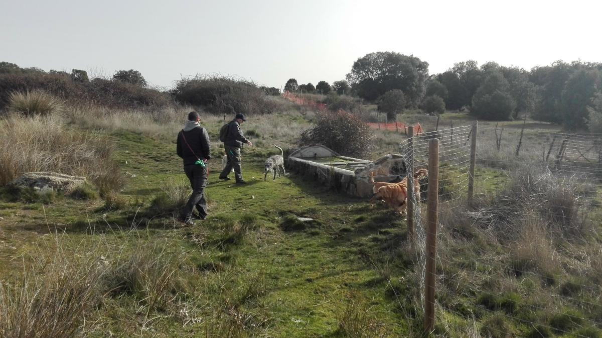 Salida de socialización - febrero 2016. Siente a tu perro.