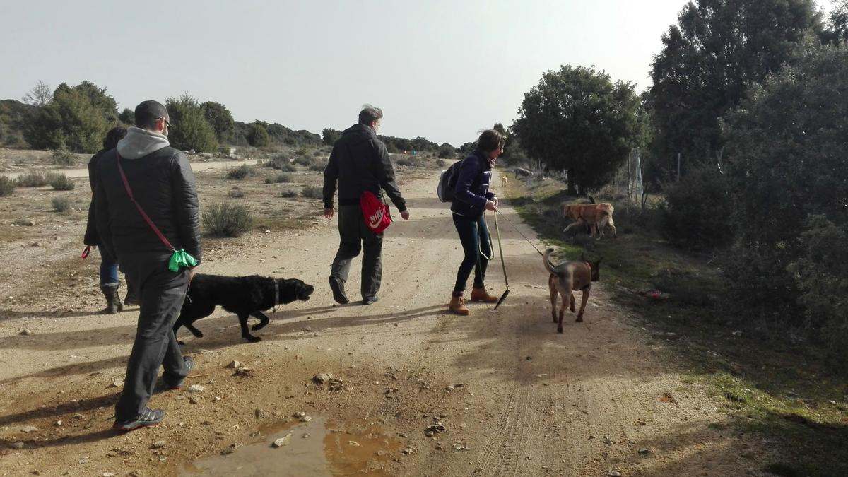 Salida de socialización - febrero 2016. Siente a tu perro.