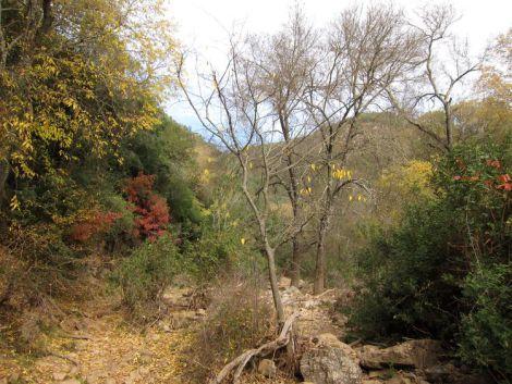cordoba-escapada-pueblos-con-encanto-38