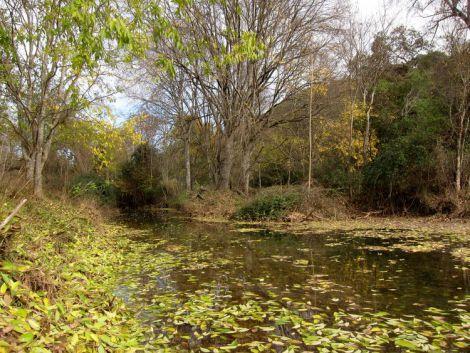 cordoba-escapada-pueblos-con-encanto-40