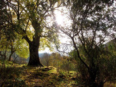 cordoba-escapada-pueblos-con-encanto-44