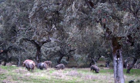 cordoba-escapada-pueblos-con-encanto-52