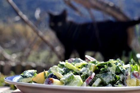 ensalada-de-apio-manzana-y-uvas-10