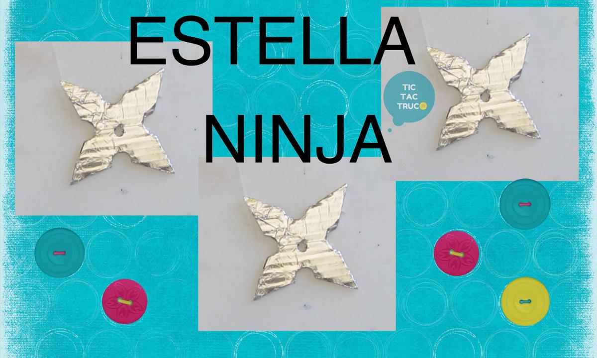 estella-ninjaweb