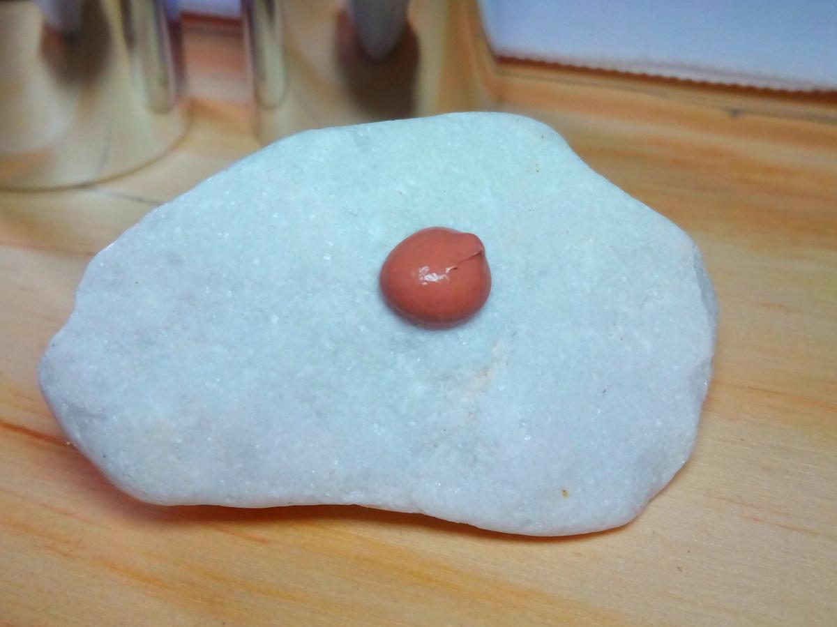 IMG_20160222_094247[1]