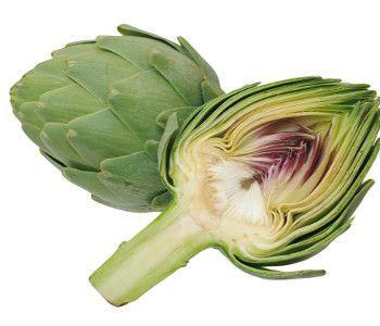 Carciofo