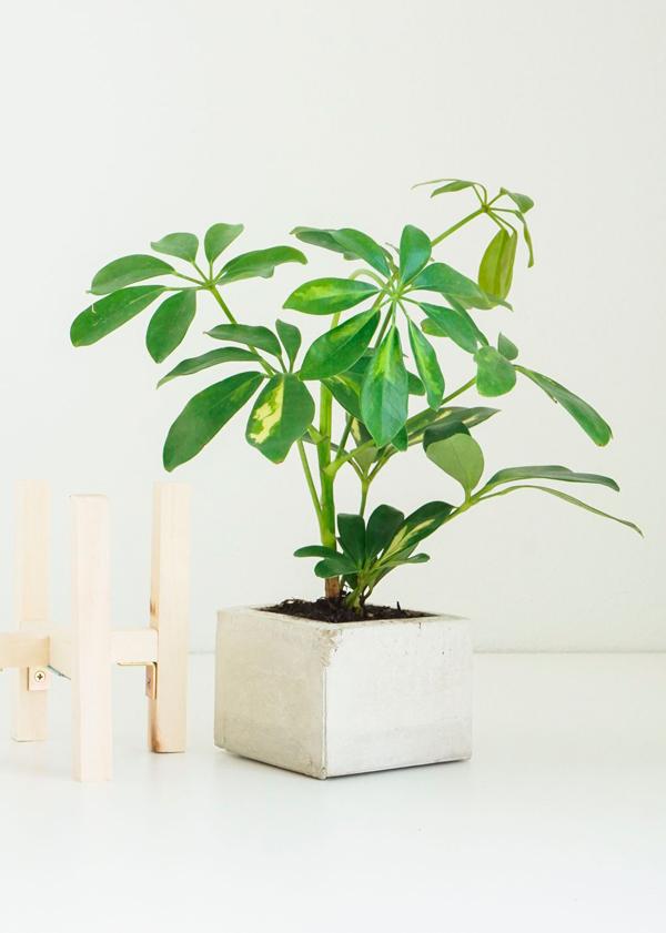 diy_macetero_cemento_madera_estilo_nordico_blog_ana_pla_interiorismo_decoracion_8