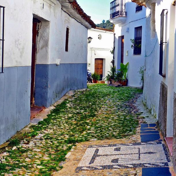 vegetarianos sierra de aracena