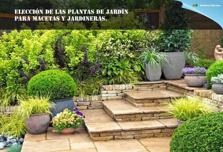 Elección de las plantas de jardín para Macetas y Jardineras.