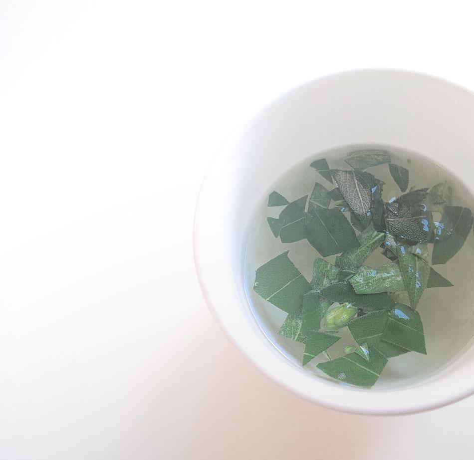 cómo utilizar la salvia