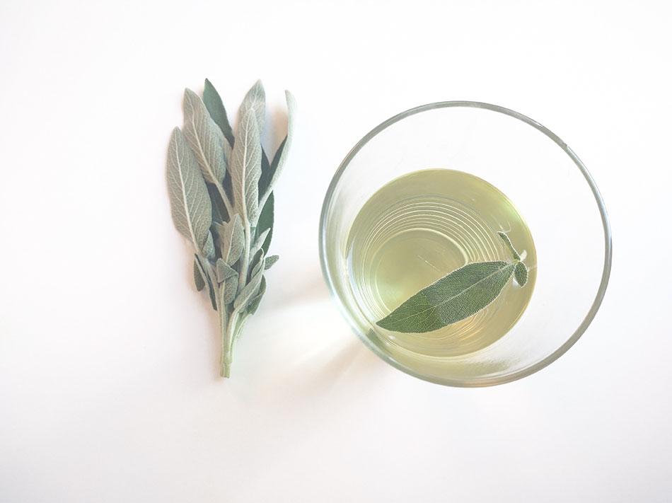 cómo utilizar la salvia