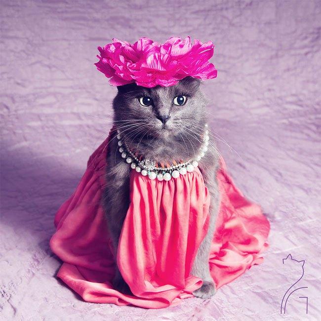 Fenomenal Moda Felina