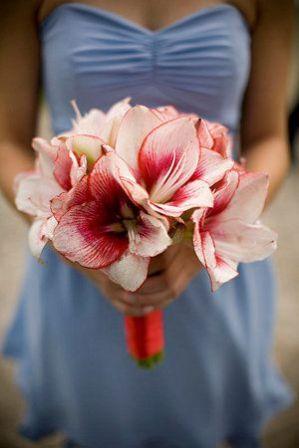 a351b338a3f7bd7911bf2c8b2776ef51