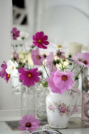 a4459e3a3fad8516547f64a46653c7c4