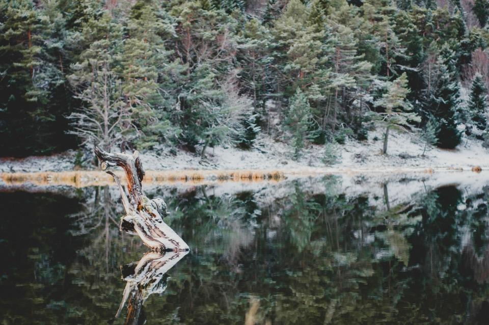 Una boda invernal por Blanco y Caramelo en All Lovely Party