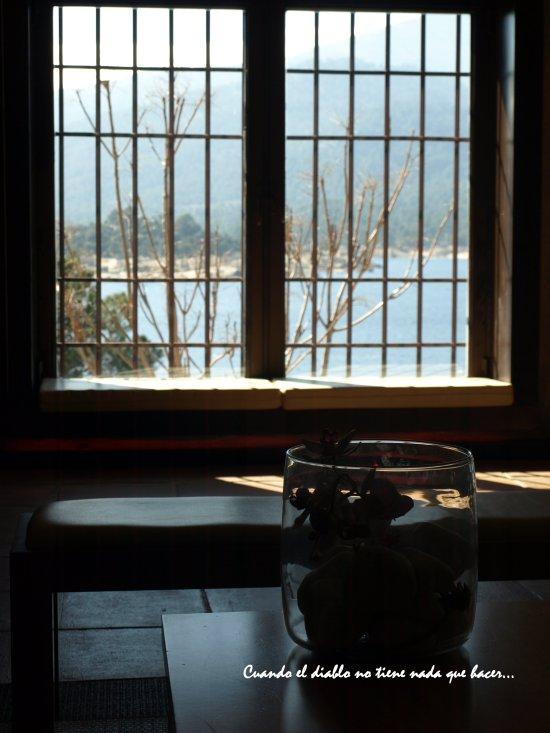 Vistas desde el salón