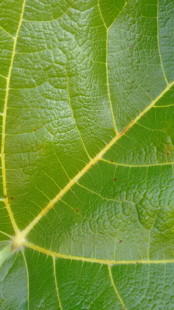 IMG_20160101_191327755