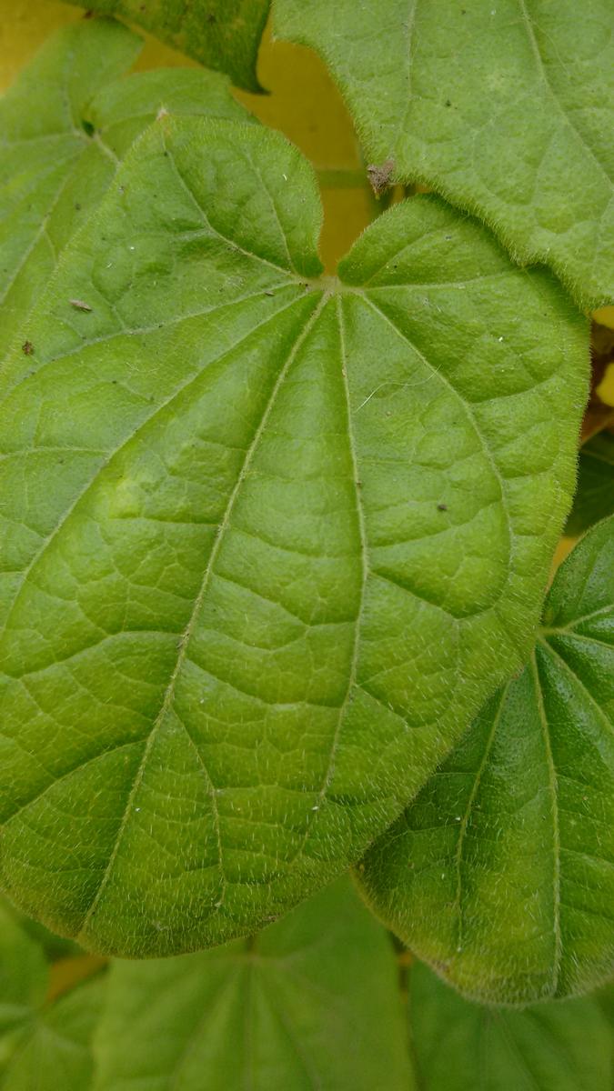 IMG_20160103_110913325