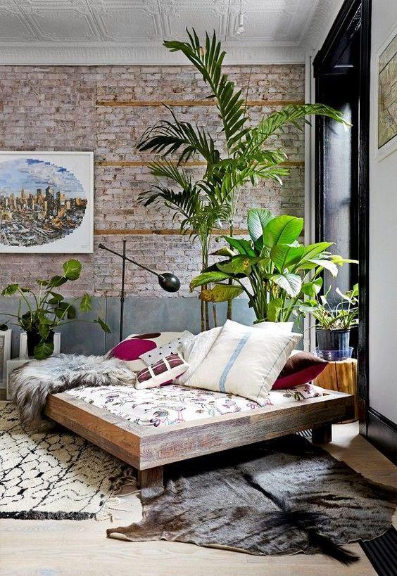 3_plantas_interior_necesitan_poca_luz_blog_ana_pla_interiorismo_decoracion_4