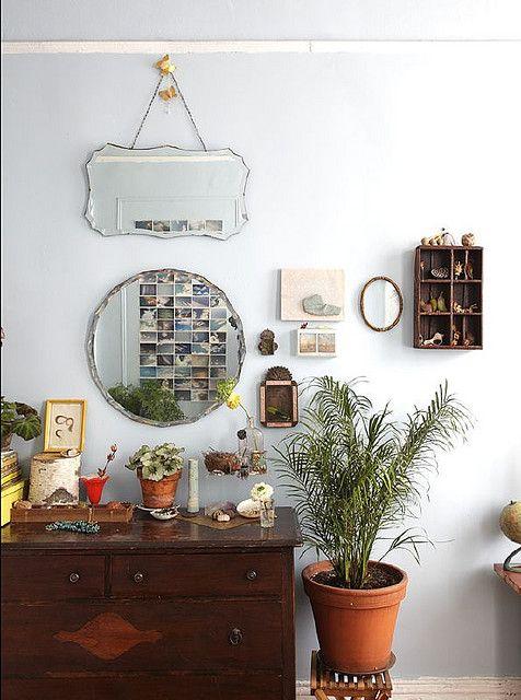 3_plantas_interior_necesitan_poca_luz_blog_ana_pla_interiorismo_decoracion_5