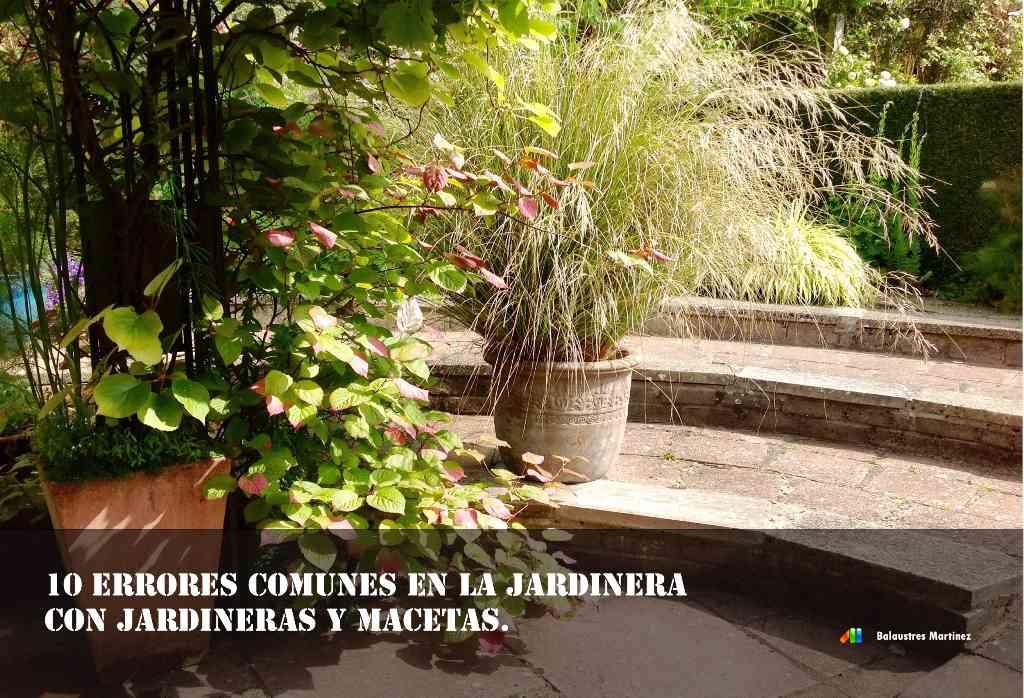 jardineras y macetas plantacion