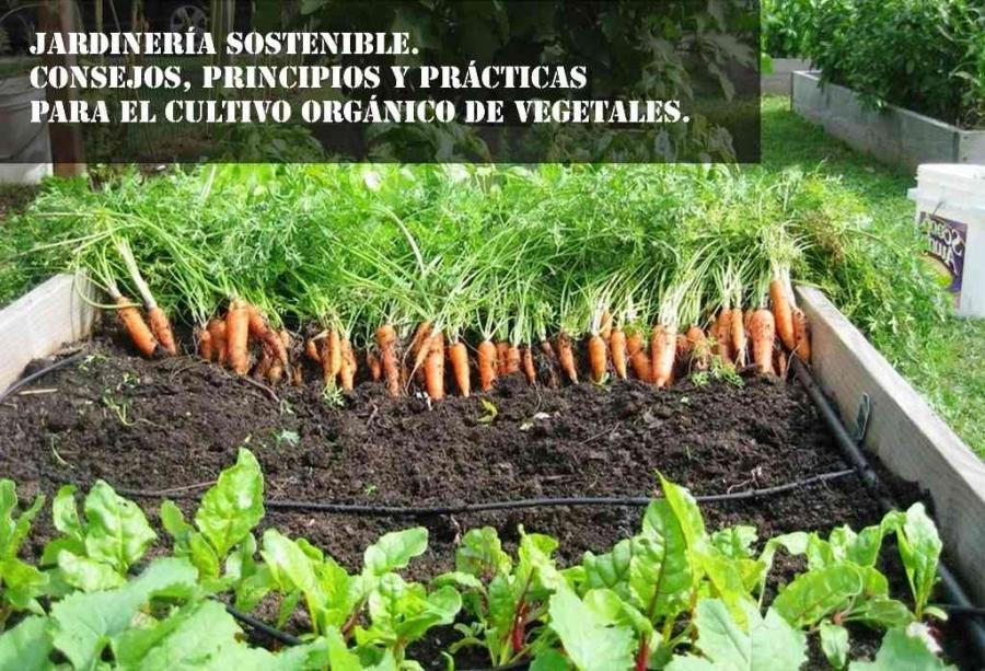 Jardinería Sostenible. Consejos, principios y prácticas para el cultivo orgánico de vegetales.