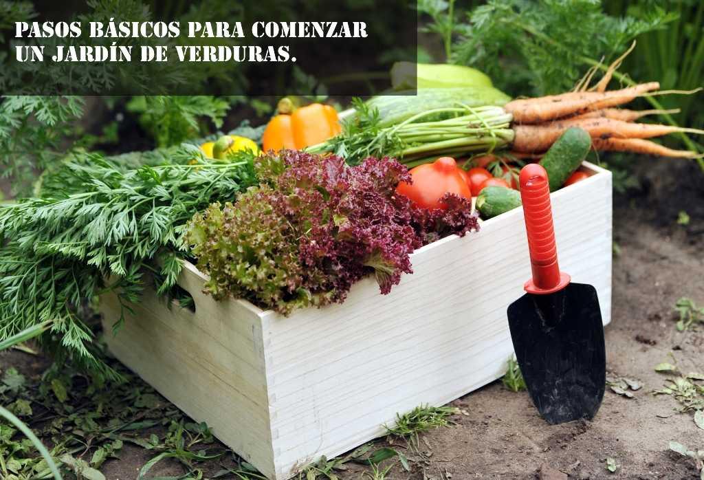 pasos basicos para crear un jardin de verduras