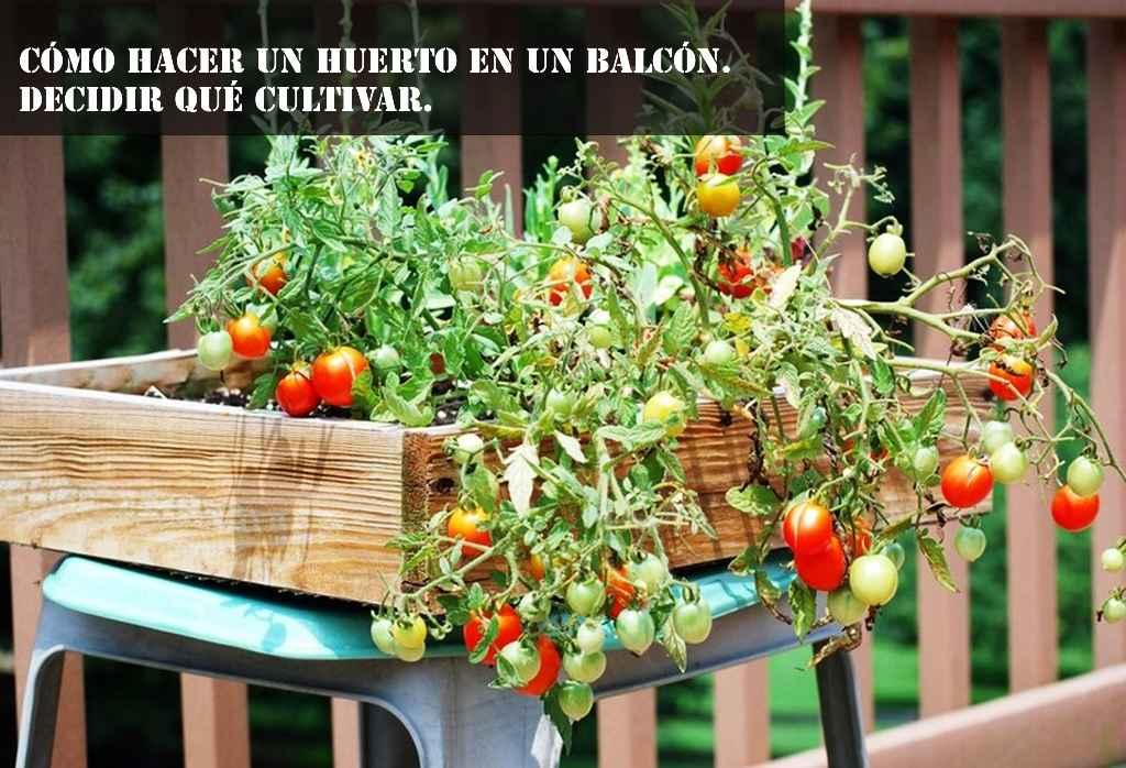 decidir que plantar en un balcon
