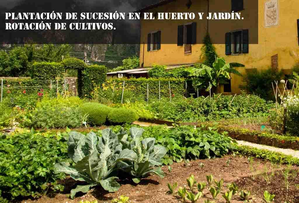 rotacion de cultivos