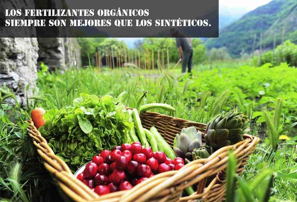 fertilizantes organicos