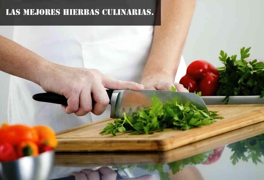 mejores hierbas para la cocina