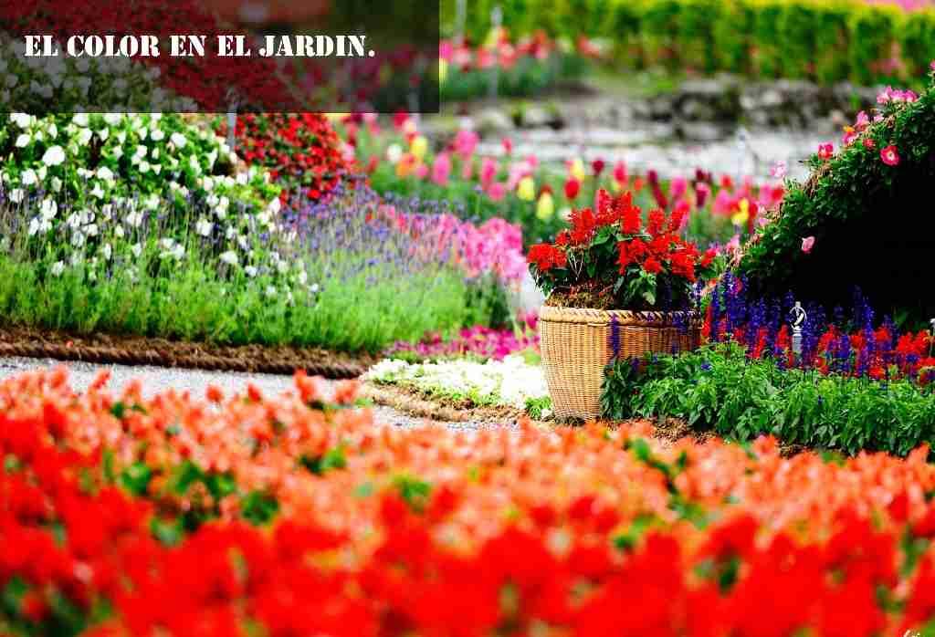 el color en el jardin