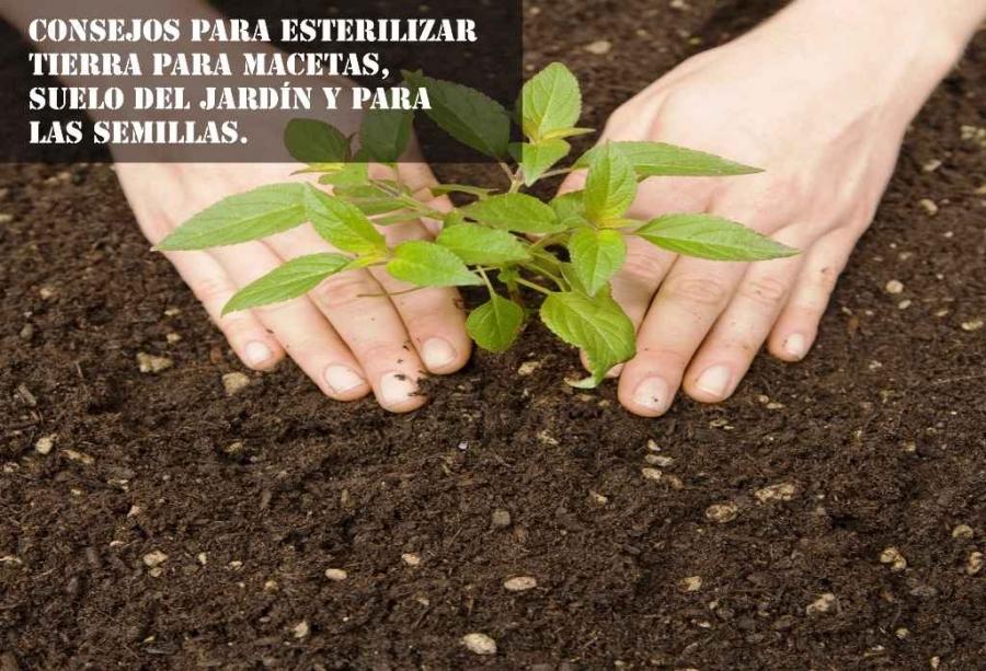 Consejos para esterilizar tierra para macetas, suelo del jardín y para las semillas.